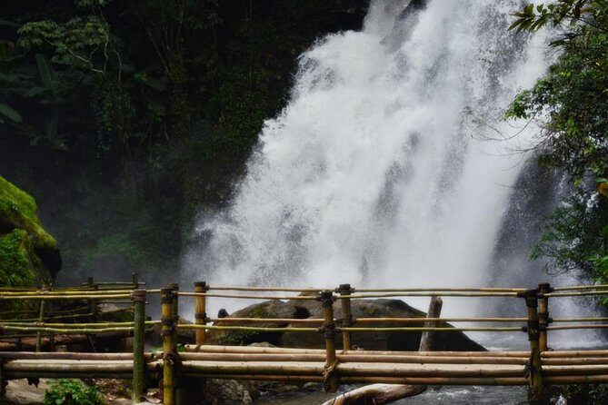 Mount Doi Inthanon Hiking & Bird Watching - Price and Value: Is $152.50 Fair for This Day?
