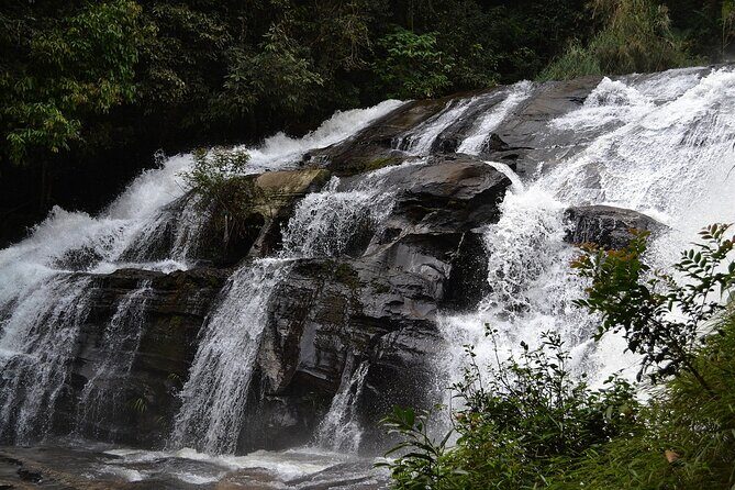 Mount Doi Inthanon National Park Sunrise and Hiking - Weather, sunrise, and how flexible the plan can be