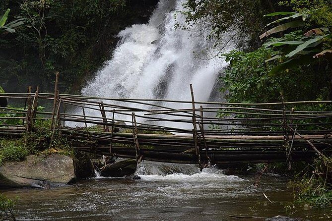 Mount Doi Inthanon National Park Sunrise and Hiking - Price and value: what you’re paying for at $126.51
