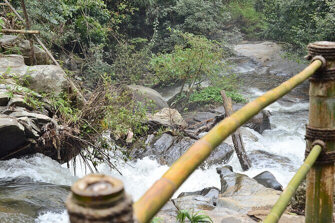 Mount Doi Inthanon National Park Sunrise and Hiking - Who this tour fits best (and who should look elsewhere)