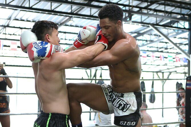 Muay Thai Experience - 1/2 Day - A Boutique Muay Thai Gym by Chiang Mai’s Rice Fields