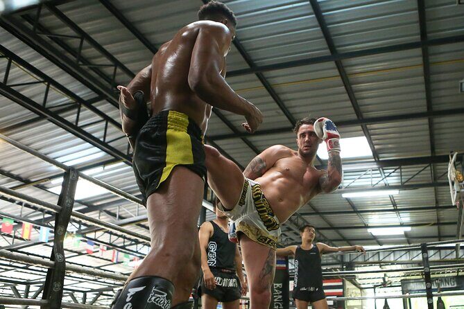 Muay Thai Experience - 1/2 Day - Price and Value: Why $90.35 Feels Fair for What’s Included