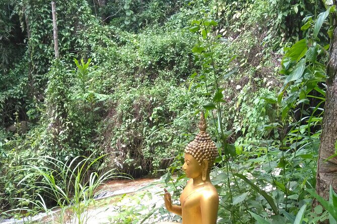 No.1 Chiang Mai: 3-Hour Monk Trail Hike to Wat Doi Suthep & Palad - Price and logistics: what you’re actually paying for