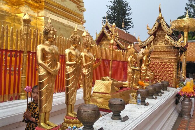 No.1 Chiang Mai: 3-Hour Monk Trail Hike to Wat Doi Suthep & Palad - Should you book No.1 Chiang Mai’s Monk Trail hike?