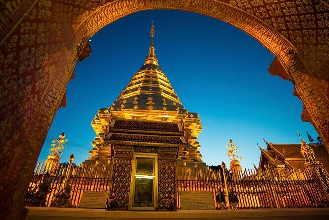 No.1 Chiang Mai: Advanced Downhill Mountain Biking, Suthep N.Park - Key points to know before you go