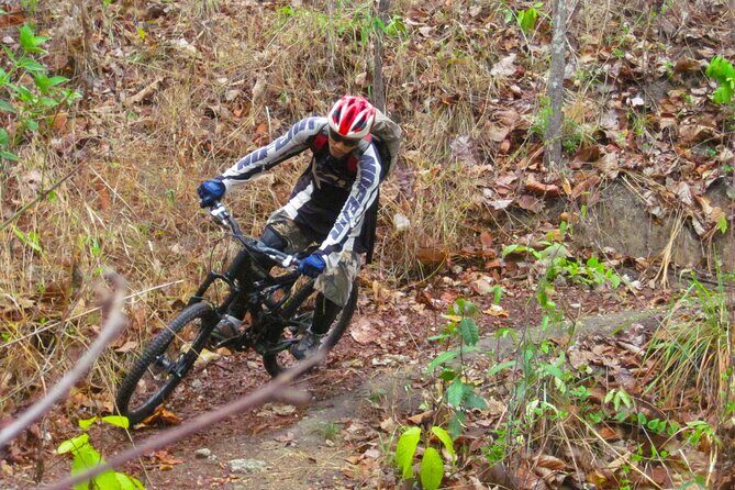 No.1 Chiang Mai: Advanced Downhill Mountain Biking, Suthep N.Park - Lunch at Lake Huay Tueng Thao, Plus the Swim Option