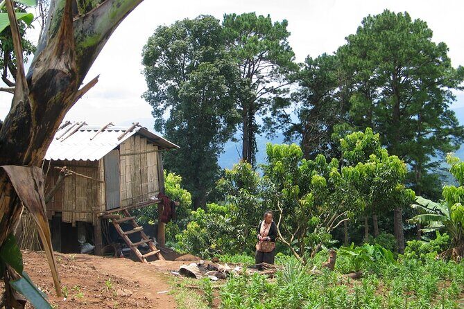 No.1 Chiang Mai: Advanced Downhill Mountain Biking, Suthep N.Park - Bikes, Safety Gear, Hydration, and Real Support
