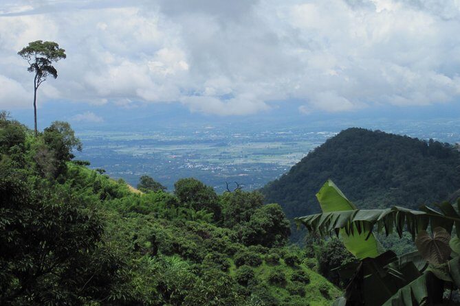 No.1 Chiang Mai: Advanced Downhill Mountain Biking, Suthep N.Park - Price and Extra Fees: When $74.95 Really Adds Up