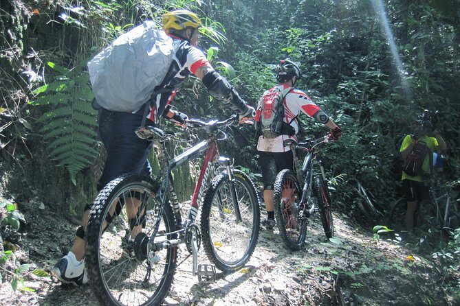 No.1 Chiang Mai: Advanced XC Downhill Biking, Doi Suthep N. Park - Coffee Break in a Forest Plantation: Small Stop, Big Reset