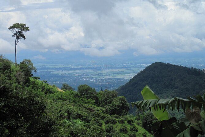 No.1 Chiang Mai: Advanced XC Downhill Biking, Doi Suthep N. Park - The Landmark Angle: Doi Suthep and Bhubing Palace from a Rider’s Perspective