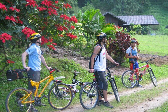 No.1 Chiang Mai: Advanced XC Downhill Biking, Doi Suthep N. Park - Lunch at Lake Huay Tueng Tao: Fueling Up the Right Way