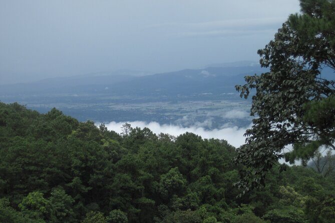 No.1 Chiang Mai: Advanced XC Downhill Biking, Doi Suthep N. Park - Bike and Gear: What You’ll Actually Be Riding