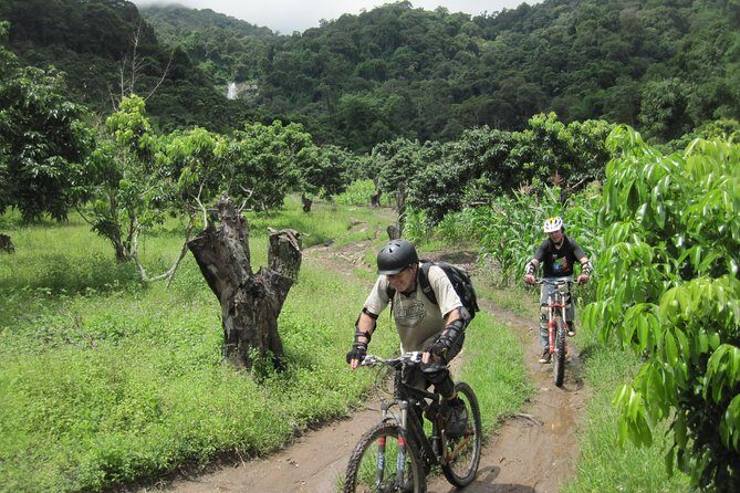 No.1 Chiang Mai: Advanced XC Downhill Biking, Doi Suthep N. Park - Park Terrain You Can Feel: Why 6 Hours Turns Into Real Skill Time