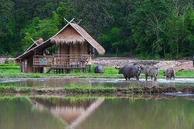"No.1 Chiang Mai: Leisure Bicycle Ride to Lake Huay Tueng Tao" - What to wear and bring for a smoother ride