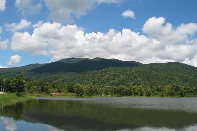 "No.1 Chiang Mai: Leisure Bicycle Ride to Lake Huay Tueng Tao" - Bikes, helmets, and safety: what’s included (and what to check)
