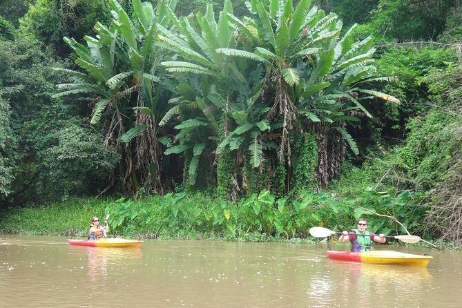 No.1 Chiang Mai: Leisure River Kayaking: Mae Taeng forest Reserve - Transportation and Group Size: The Comfort Stuff You Don’t Think About