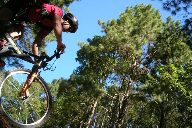"No.1 Chiang Mai: Suthep N. Park Leisure walks & Mountain Biking" - Price and What Makes It Worth $74.51