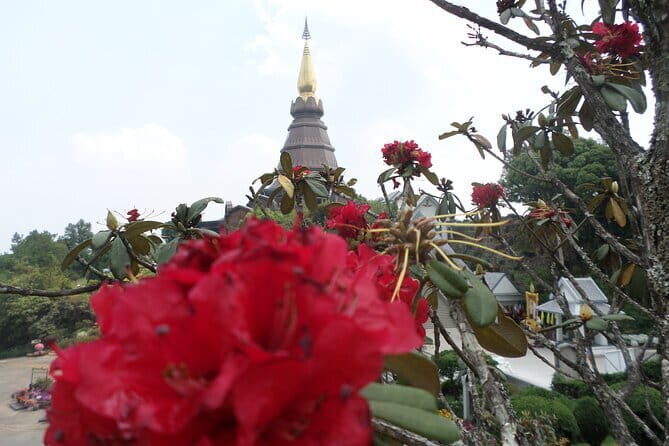 One day Doi Inthanon National Park & Trekking on Kew Mae Pan - Price and Value: What $161.99 Buys You in Real Life