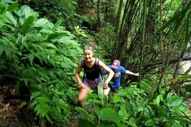 One Day Hiking and Elephant experience by Chiang Mai Elephant Home - Key things to know before you go