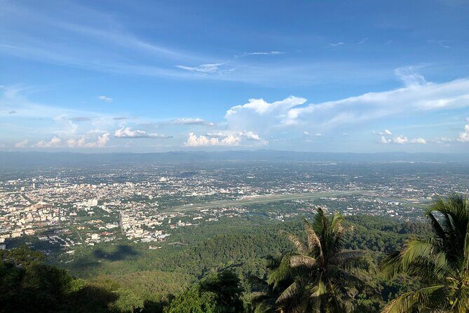 One Day Tour Doi Suthep Temple, Palad Temple, Orchid Farm, Longneck hill tribe village (Private tour) - Wat Phra That Doi Suthep: golden chedi energy and real views