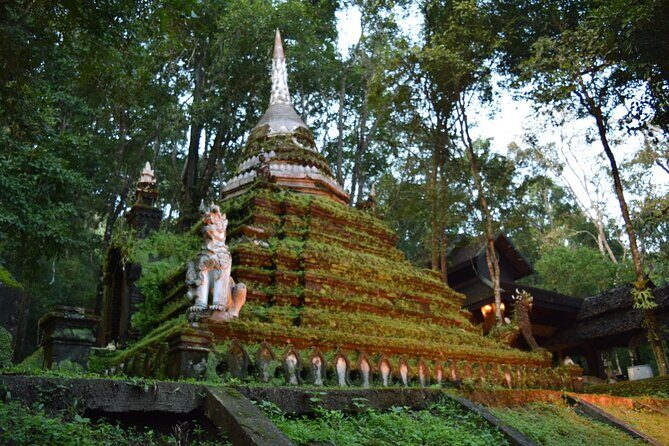 One Day Tour Doi Suthep Temple, Palad Temple, Orchid Farm, Longneck hill tribe village (Private tour) - Bai Orchid and Butterfly Farm: color and a breather between temples