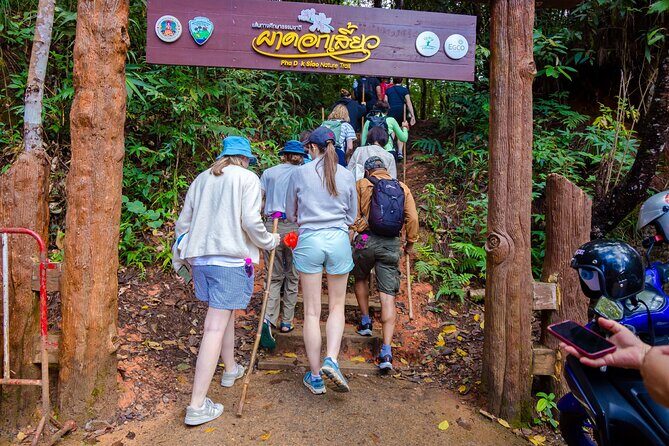 Pha Dok Siew Nature Trail & Doi Inthanon National Park From Chiang Mai - Pha Dok Siew Nature Trail: The Two-Hour Hike That Makes the Day