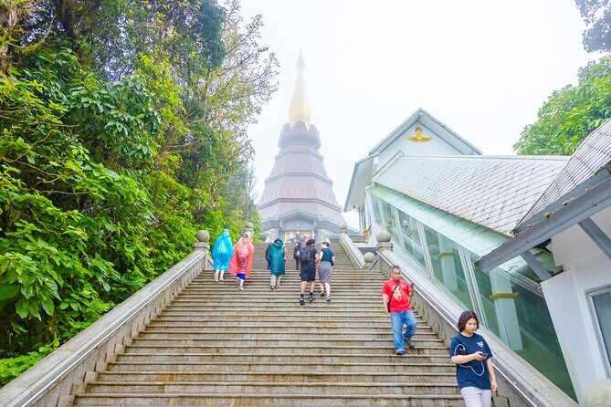 Pha Dok Siew Nature Trail & Doi Inthanon National Park From Chiang Mai - Coffee, Rice Fields, and Hill Tribe Culture at the End of the Day