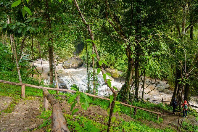 Pha Dok Siew Nature Trail & Doi Inthanon National Park From Chiang Mai - Guide Quality: Why Language (and Energy) Changes the Whole Day
