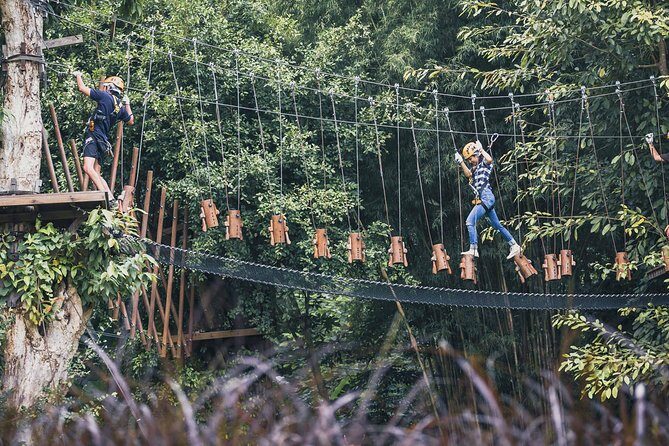 Phoenix Zipline Adventure Park – Chiang Mai Thrills - Phoenix Adventure Park in Mae Rim: what you’re really signing up for