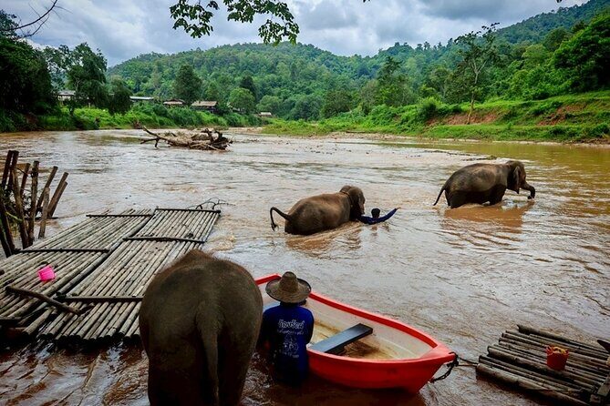 Private 3 Day Chiang Mai and Chiang Rai Tour - Price and what you’re really paying for at $634.89