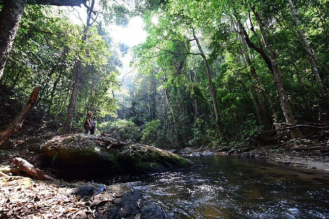 Private All-Inclusive Doi Inthanon & Pha Dok Siew Waterfall Tour - Doi Inthanon National Park: the mountain day’s main backbone