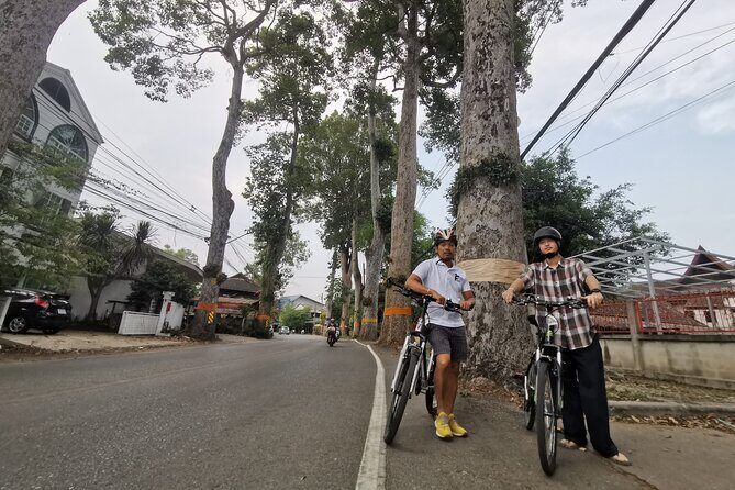 Private Chiang Mai Half-Day Bike Tour - Three Kings Monument to Wat Chedi Luang: temples with scale