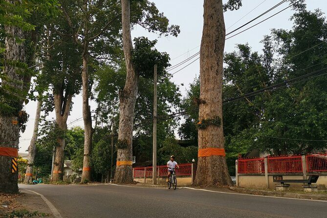 Private Chiang Mai Half-Day Bike Tour - Old-city roads, the iron bridge, and Mae Ping crossings
