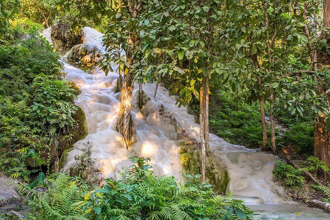 Private Tour: Bua Thong Sticky Waterfalls Tour - Why Bua Thong Sticky Waterfalls feel different than normal waterfalls