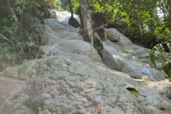 Private Tour: Bua Thong Sticky Waterfalls Tour - Emerald pools and the sacred-water moment