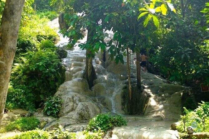 Private Tour: Bua Thong Sticky Waterfalls Tour - Transfers, guides, and the private comfort factor