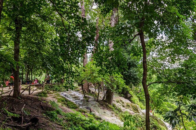 Private Tour: Bua Thong Sticky Waterfalls Tour - Your private 4-hour plan from Chiang Mai hotels
