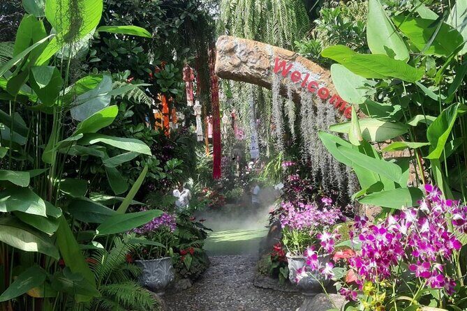 Private Tour Chiang Rai 3 Wonderful Temples & Lalitta Cafe - Price and logistics: what $141 per person buys you