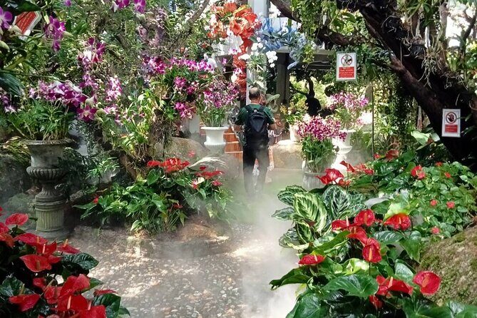 Private Tour Chiang Rai 3 Wonderful Temples & Lalitta Cafe - Wat Rong Khun (White Temple): the main event, plus the cave of art