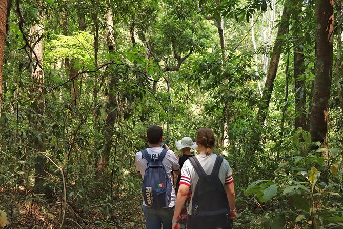 Private Tour Doi Inthanon And Trekking Nature Trail, Chiang Mai - Hmong Market and White Karen village: culture with coffee you can taste
