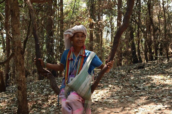 Private Tour Doi Inthanon And Trekking Nature Trail, Chiang Mai - Doi Inthanon: cold air, high altitude, and a quick peak visit