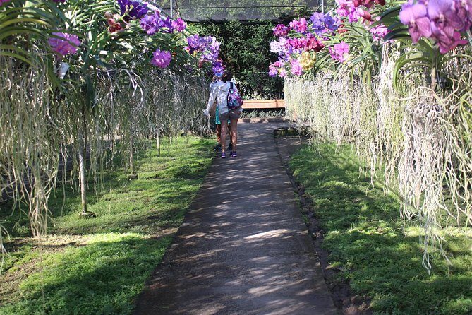 Private tour] Perfect day! Sticky waterfall + ChiangDao Cave + Wat BandenTemple - Chiang Dao Cave: cave time plus temple-area atmosphere