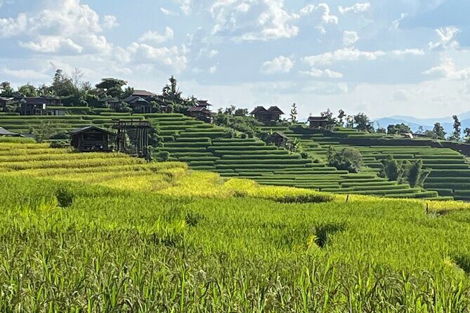 Private Tour to Chiang Mai Rice Terraces and National Park - Key highlights you’ll care about