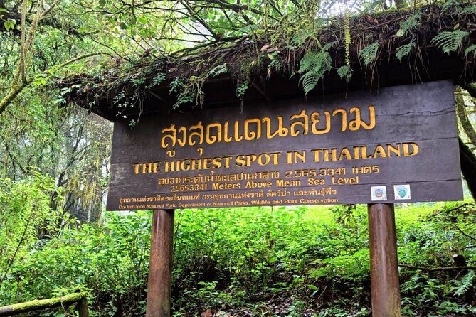 Private Tour to Chiang Mai Rice Terraces and National Park - Best-fit for you: who this tour makes the most sense for