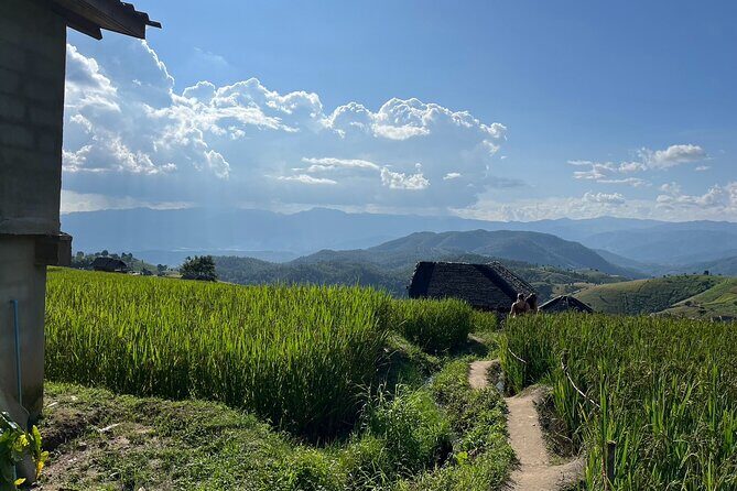 Private Tour to Chiang Mai Rice Terraces and National Park - Wachirathan Waterfall: a fast nature payoff inside a long day
