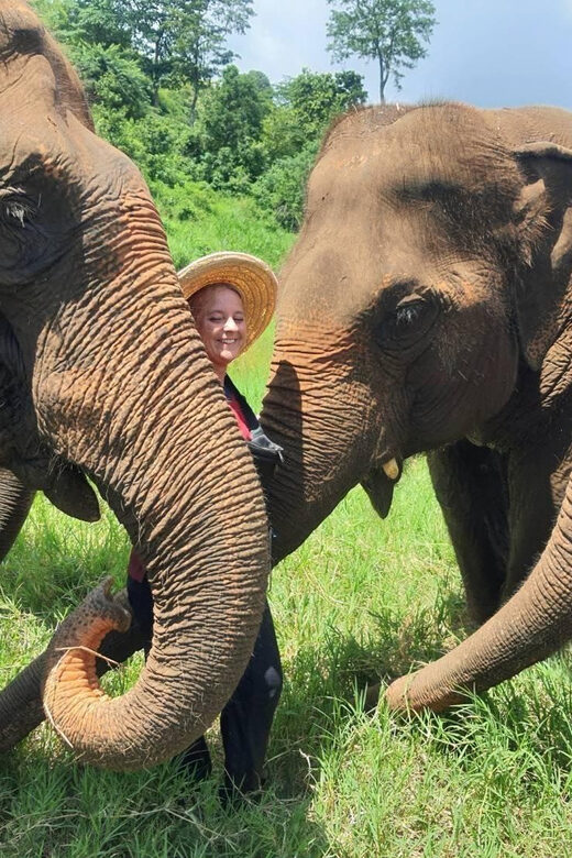 Rantong elephant sanctuary Chiangmai - Key things to know before you go