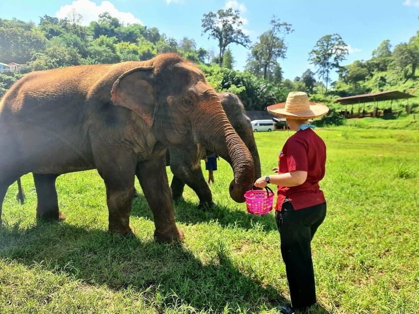 Rantong elephant sanctuary Chiangmai - Who this tour is best for (and who should skip it)