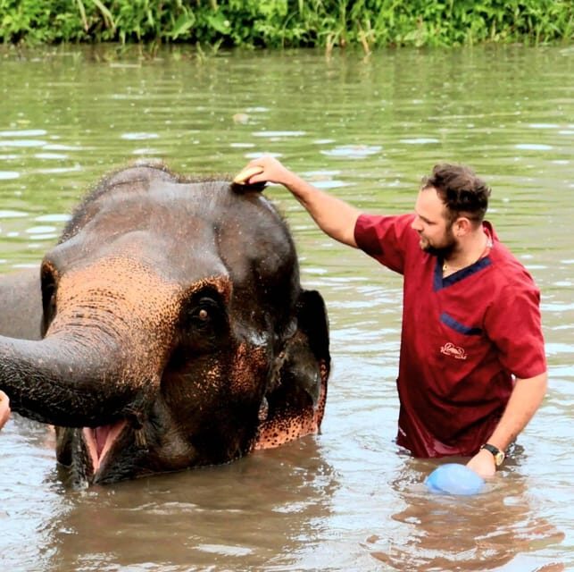 Rantong elephant sanctuary Chiangmai - The coffee, tea, lunch, and walking moments that set the pace