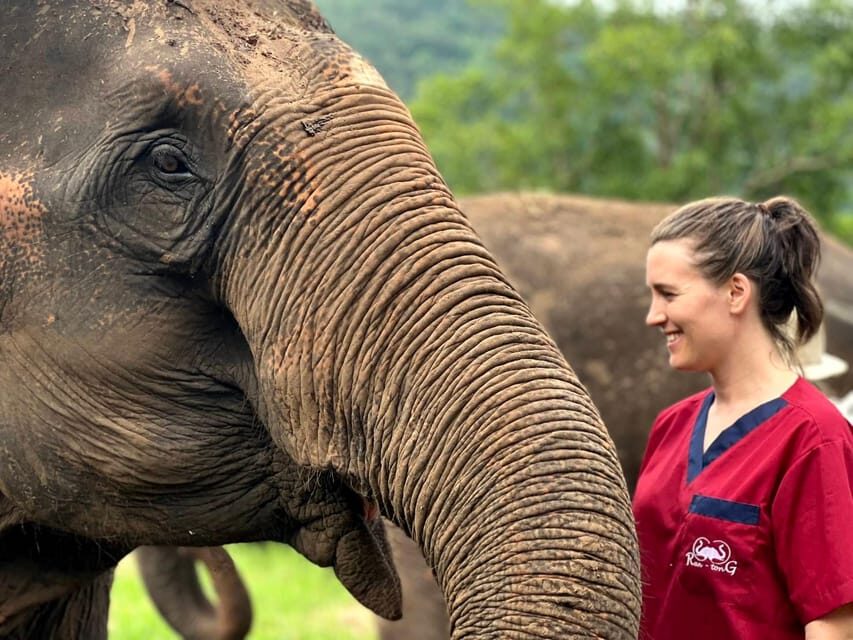 Rantong elephant sanctuary Chiangmai - Meal details you can actually plan around