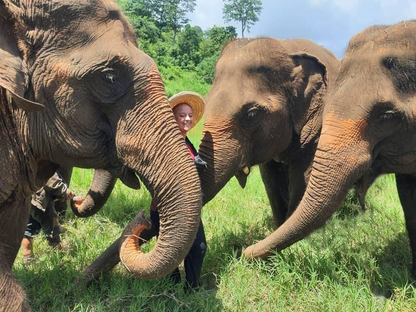 Rantong elephant sanctuary Chiangmai - Walking among elephants: what it feels like in practice